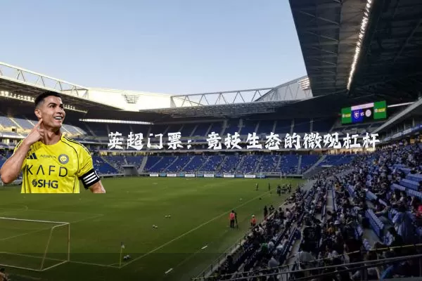 英超门票:竞技生态的微观杠杆